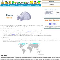 Science for Kids: Tundra Biome
