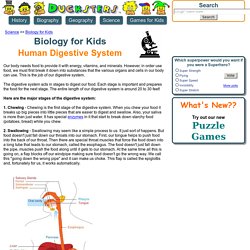 Science for Kids: The Digestive System