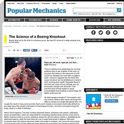 Science of a Knockout in Boxing - Sports Science Boxer Knockout