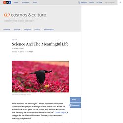 Science And The Meaningful Life : 13.7: Cosmos And Culture