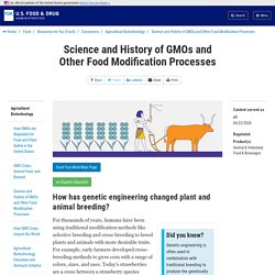 Science and History of GMOs and Other Food Modification Processes