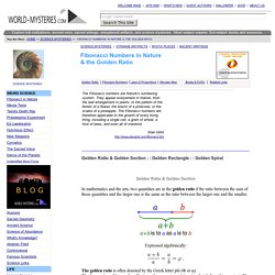 Science Mysteries, Fibonacci Numbers and Golden section in Nature