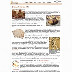 Science of Bread: Bread Science 101
