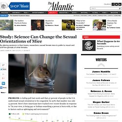 Study: Science Can Change the Sexual Orientations of Mice - James Hamblin