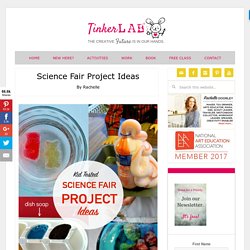 Science Fair Project Ideas