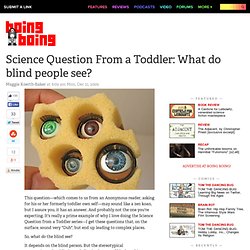 Science Question From a Toddler: What do blind people see?