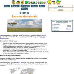 Science for Kids: Savanna Grasslands Biome