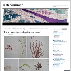 The art and science of seeing sea-weeds