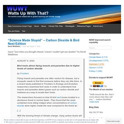 “Science Made Stupid” – Carbon Dioxide & Bird Nest Edition