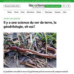 Il y a une science du ver de terre, la géodrilologie, eh oui !