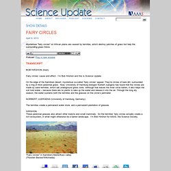 Science Update: The Science Radio News Feature of the AAAS