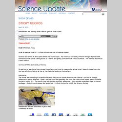 Science Update: The Science Radio News Feature of the AAAS