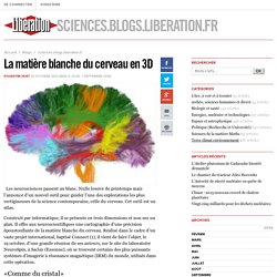 sciences.blogs.liberation.fr - La matière blanche du cerveau en 3D - Libération.fr