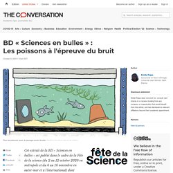 BD « Sciences en bulles » : Les poissons à l'épreuve du bruit