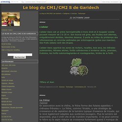 Sciences - Technologie - Page 7 - Le blog du CM1/CM2 "S" de Garidech
