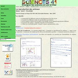 Sciences41 - Activités au cycle 3