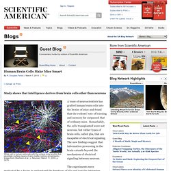 Guest Blog, Scientific American Blog Network#.UTjahrtq80E.reddit#.UTjahrtq80E.reddit#.UTjahrtq80E.reddit