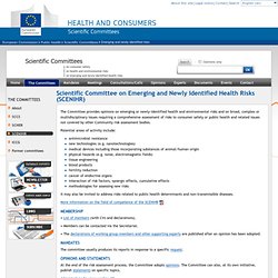 Scientific Committee on Emerging and Newly Identified Health Risks (SCENIHR)