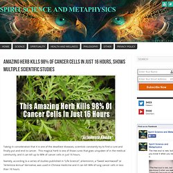 Amazing Herb Kills 98% Of Cancer Cells In Just 16 Hours, Shows Multiple Scientific Studies