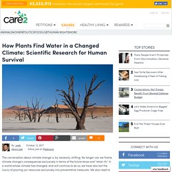 how-plants-find-water-in-a-changed-climate-scientific-research-for-human-survival