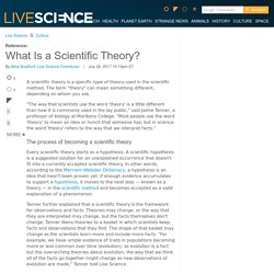 What Is a Scientific Theory?