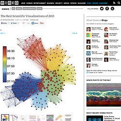 The Best Scientific Visualizations of 2013 - Wired Science