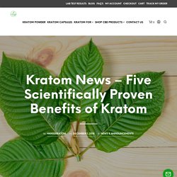 Kratom News - Five Scientifically Proven Benefits of Kratom - Craving Kratom
