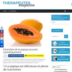 8 bienfaits de la papaye prouvés scientifiquement - Therapeutes magazine