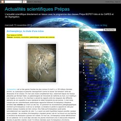 Actualités scientifiques Prépas : Archaeopteryx, la chute d'une icône
