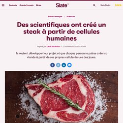 Des scientifiques ont créé un steak à partir de cellules humaines