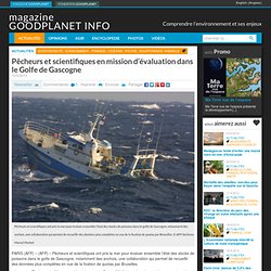 Pêcheurs et scientifiques en mission d'évaluation dans le Golfe de Gascogne