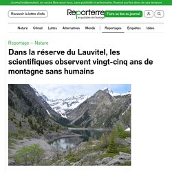 17-21 juin 2021 Dans la réserve du Lauvitel, les scientifiques observent vingt-cinq ans de montagne sans humains