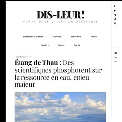 Étang de Thau : Des scientifiques phosphorent sur la ressource en eau, enjeu majeur