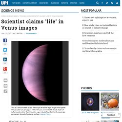 Scientist claims 'life' in Venus images