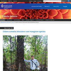 Citizen scientist discovers rare mangrove species - JCU Australia