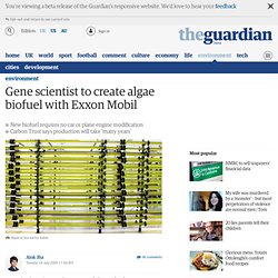 Gene scientist to create algae biofuel with Exxon Mobil