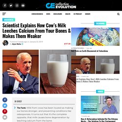 Scientist Explains How Cow’s Milk Leeches Calcium From Your Bones & Makes Them Weaker