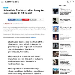 Scientists find Australian berry to cure cancer in 48 hours! – Anonymous