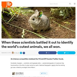 When these scientists battled it out to identify the world's cutest animals, we all won.