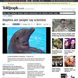 Dolphins are 'people' say scientists - World news, News