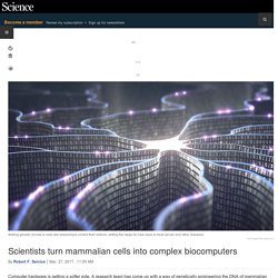 Scientists turn mammalian cells into complex biocomputers