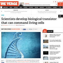 Scientists develop biological transistor that can command living cells