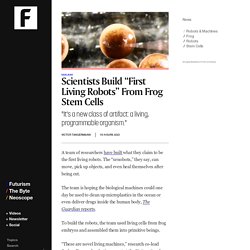 Scientists Build “First Living Robots” From Frog Stem Cells