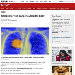 Scientists 'find cancer's Achilles heel'