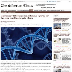 Depressed? Siberian scientists have figured out the gene combinations to blame