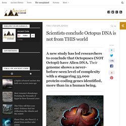 Scientists conclude Octopus DNA is not from THIS world