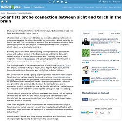 Scientists probe connection between sight and touch in the brain