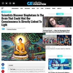 Scientists Discover Biophotons In The Brain That Could Hint Our Consciousness Is Directly Linked To Light