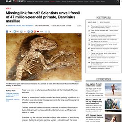 Missing link found? Scientists unveil fossil of 47 million-year-old primate, Darwinius masillae