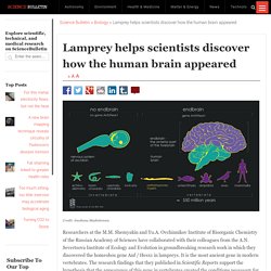 Lamprey helps scientists discover how the human brain appeared